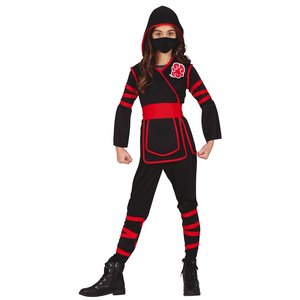 Ninja Kämpfer