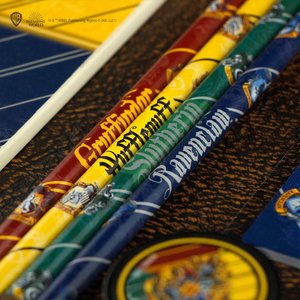 Harry Potter: Hogwarts Houses