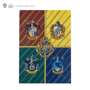 Harry Potter: Hogwarts Houses