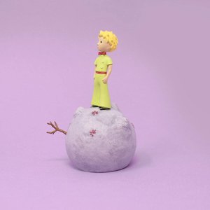 Il Piccolo Principe: Il Principe sul pianeta