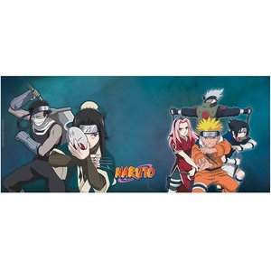 Naruto Shippuden: Haku & Zabuza