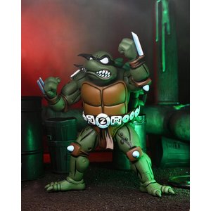 Teenage Mutant Ninja Turtles: Slash