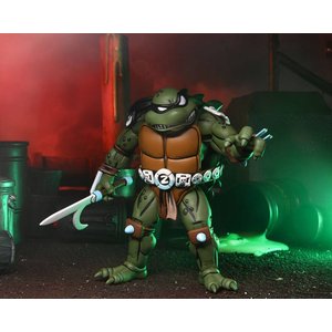 Teenage Mutant Ninja Turtles: Slash