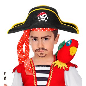 Pirate des mers