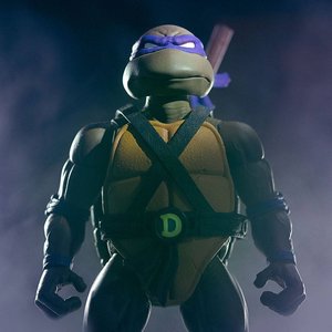 Teenage Mutant Ninja Turtles: Donatello