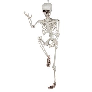Squelette : Pedro