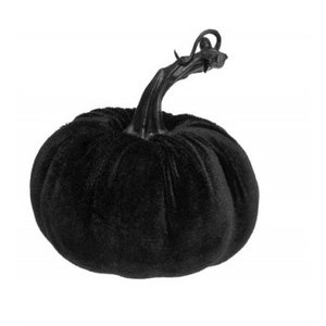 Courge velours noir