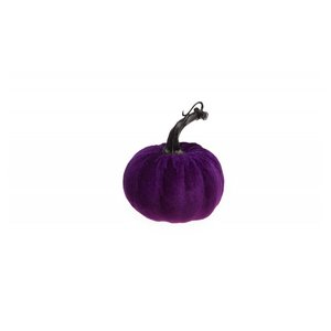Lila Velvet Kürbis
