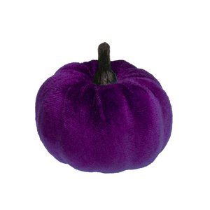 Courge velours violet