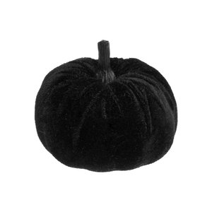 Zucca vellutata nero