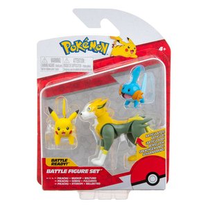 Pokémon Battle: Mudkip, Pikachu, Boltund