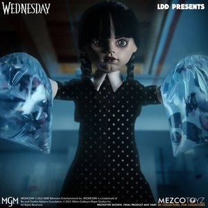 Addams Family: Wednesday