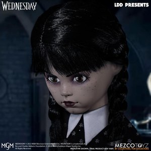 Addams Family: Wednesday