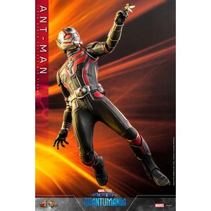 Ant-Man and The Wasp - Quantumania: Ant-Man - 1/6