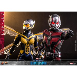 Ant-Man and The Wasp - Quantumania: Ant-Man - 1/6