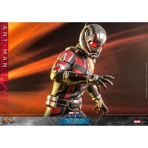 Ant-Man and The Wasp - Quantumania: Ant-Man - 1/6