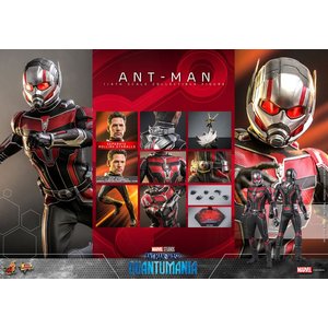 Ant-Man and The Wasp - Quantumania: Ant-Man - 1/6