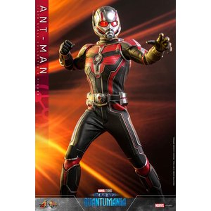 Ant-Man and The Wasp - Quantumania: Ant-Man - 1/6