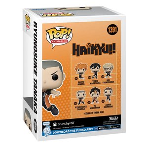 POP! - Haikyu!!: Tanaka