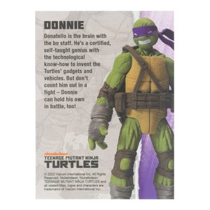 Teenage Mutant Ninja Turtles - BST AXN:Donatello