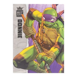 Teenage Mutant Ninja Turtles - BST AXN:Donatello