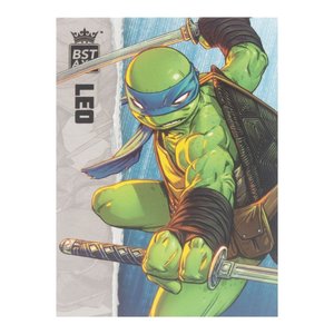 Teenage Mutant Ninja Turtles - BST AXN: Leonardo