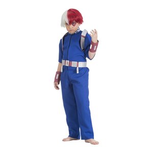 My Hero Academia: Shoto Todoroki