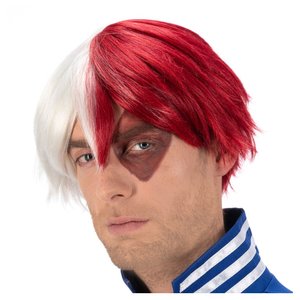 My Hero Academia: Shoto Todoroki