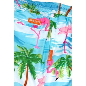OppoSuits: Flaminguy - Flamingo