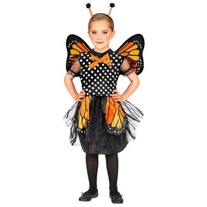 Schmetterling Chiara