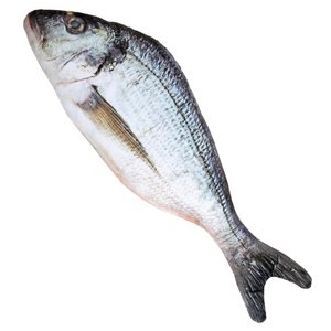 Fisch
