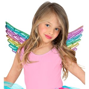 Ailes multicolores