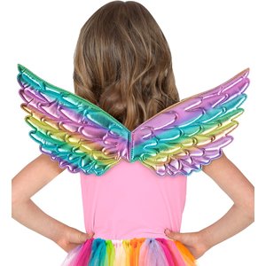 Ailes multicolores