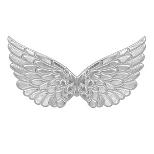 Ailes d'argent