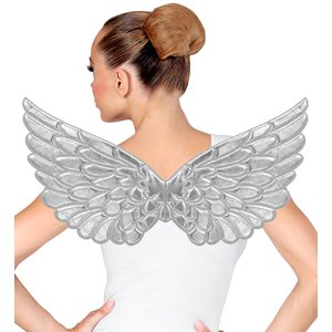 Ailes d'argent