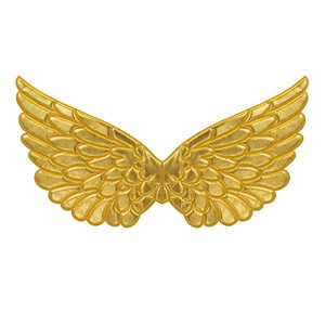 Ailes d'or