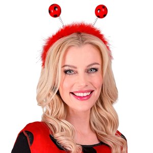 Antenne di coccinella