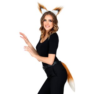 Set Renard