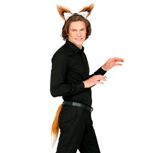 Set Renard
