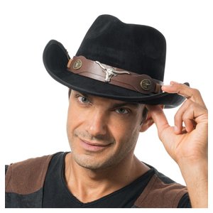 Cowboy: Longhorn