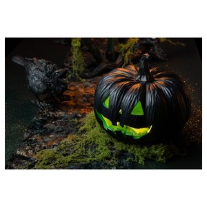 Mousse décorative - 50 g