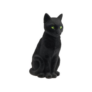 Gatto nero