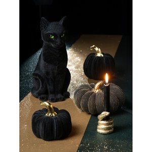 Chat noir