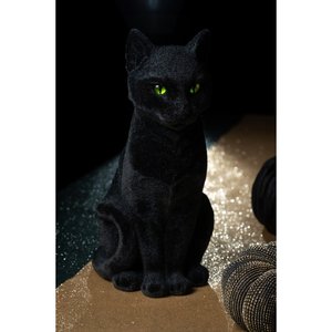 Chat noir