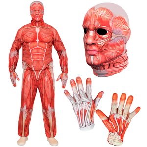 Fast Costume: Anatomy