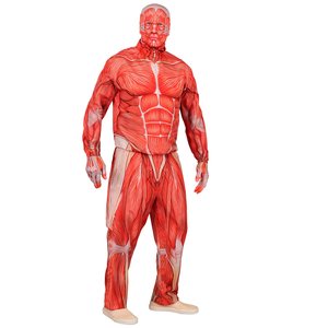 Fast Costume: Anatomy