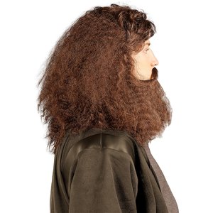 Harry Potter: Hagrid