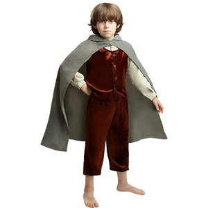 Il Signore degli Anelli: Frodo