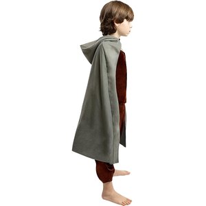 Il Signore degli Anelli: Frodo
