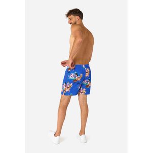 OppoSuits: Dragon Ball - Kame House